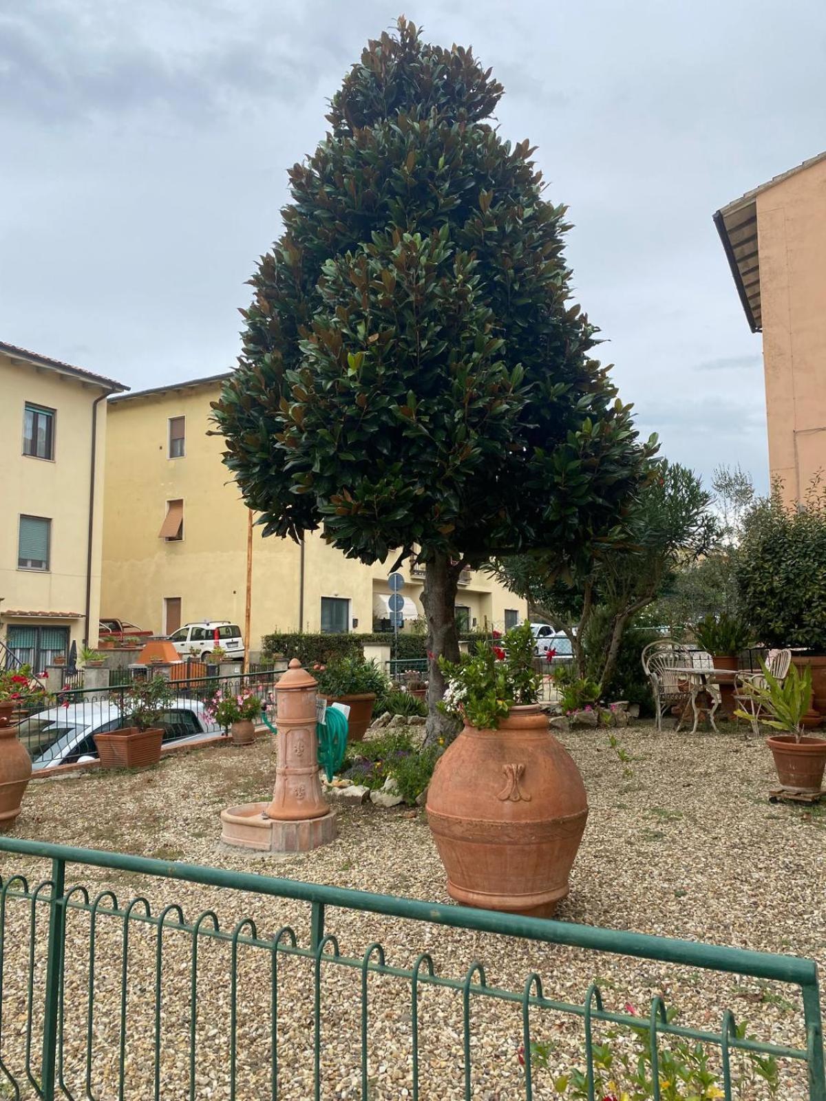 Appartamento Magnolia Mercatale Val Di Pesa エクステリア 写真