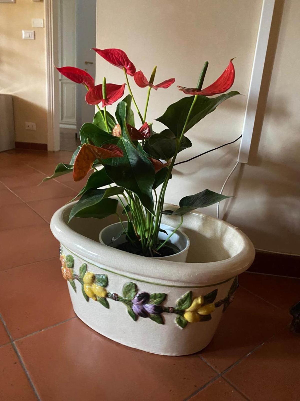 Appartamento Magnolia Mercatale Val Di Pesa エクステリア 写真